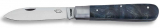 OTTER model DRACO pocket knife stabilized poplar blue carbon steel